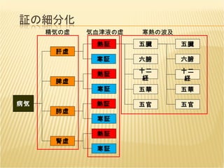 熱証 肝虚 肺虚 腎虚 病気 脾虚 寒証 熱証 寒証 熱証 寒証 熱証 寒証 五臓 六腑 十二経 五華 五官 五臓 六腑 十二経 五華 五官 精気の虚 寒熱の波及 気血津液の虚 