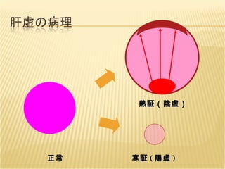 正常 寒証 ( 陽虚 ) 熱証（陰虚） 