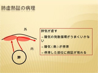 肺 外 内 肺気が虚す -> 陽気の発散循環がうまくいかない -> 陽気 ( 熱 ) が停滞 -> 停滞した部位に病証が現れる 