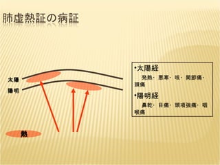 太陽 陽明 熱 太陽経 　 発熱・悪寒・咳・関節痛・頭痛 陽明経 　 鼻乾・目痛・頭項強痛・咽喉痛 