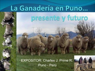 EXPOSITOR: Charles J. Prime R.  Puno - Perú 