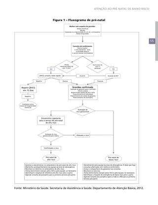 ATENÇÃO AO PRÉ-NATAL DE BAIXO RISCO



                                                         Figura 1 – Fluxograma de pré-natal

                                                                                  Mulher com suspeita de gravidez
                                                                                            Atraso menstrual
                                                                                                 Náusea
                                                                          Suspensão ou irregularidade do uso do contraceptivo
                                                                                           Desejo de gravidez




                                                                                                                                                                               55
                                                                                      Consulta de acolhimento
                                                                                              Deve-se avaliar:
                                                                                         o ciclo menstrual – Dum,
                                                                                            a atividade sexual e
                                                                                      o uso de método contraceptivo




                                                                          Atraso                                      Dum maior do
                                                                    menstrual maior do                                   que 12
                                                                      que 15 dias?                                      semanas?
                                                   Sim                                                                                         Sim



                                   βHCG urinário, teste rápido                                   Ausente                                 Ausculta de BCF


                               Negativo                                Positivo                                               Presente



      Repetir βHCG                                                                    Gravidez confirmada
                                                                                                                     -
                                                                                   Captação da gestante para o pré-natal
       em 15 dias                                                                              Solicite exames
                                                                                    Realize testes rápidos de HIV e sífilis
                                                                                      Preenchimento do SisPreNatal
           Negativo                                                                Preenchimento do cartão da gestante
                                                                                       Preenchimento do prontuário



       Investigue outras
    causas de irregularidade
           menstrual
                                                                                               Avaliação de
                                                                                            risco gestacional



                                     Encaminhe a gestante
                                   para o serviço de pré-natal
                                          de alto risco




                                             Avaliação do risco
                                          gestacional pelo médico                           Afastado o risco




                                           Confirmado o risco




                                              Pré-natal de                                                                               Pré-natal de
                                               alto risco                                                                                 baixo risco

            Garanta o atendimento no ambulatório de pré-natal de alto risco.                            Atendimento pela equipe da área de abrangência. É ideal que haja
            Mantenha acompanhamento da equipe da área de abrangência.                                   consultas alternadas com médico e enfermeiro.
            Monitore os retornos no ambulatório de alto risco.                                          Inclua o companheiro da gestante nas consultas.
            Visitas domiciliares mensais pelos ACS e pela equipe, se necessário.                        Monitore os retornos.
            Identifique o hospital de referência de alto risco para o parto.                            Visitas domiciliares mensais pelos ACS e pela equipe, se necessário.
            Agende consulta de puerpério para a primeira semana pós-parto.                              Identifique o hospital de emergência de baixo risco para o parto.
                                                                                                        Agende consulta de puerpério (para a mãe e o RN) para a primeira
                                                                                                        semana pós-parto.




Fonte: Ministério da Saúde. Secretaria de Assistência à Saúde. Departamento de Atenção Básica, 2012.
 
