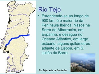 Rio Tejo
• Estendendo-se ao longo de
900 km, é o maior rio da
Península Ibérica. Nasce na
Serra de Albarracim, em
Espanha, e desagua no
Oceano Atlântico, em largo
estuário, alguns quilómetros
adiante de Lisboa, em S.
Julião da Barra.
Rio Tejo, Vale de Santarém
 