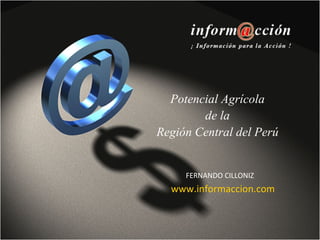 Potencial Agrícola  de la  Región Central del Perú FERNANDO CILLONIZ www.informaccion.com 