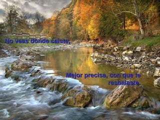 No veas donde caiste, Mejor precisa, con que te resbalaste. 