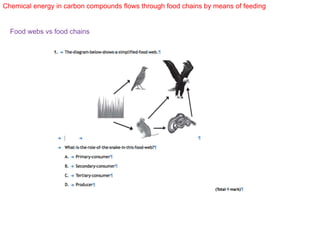 Chemical energy in carbon compounds flows through food chains by means of feeding
Food webs vs food chains
 