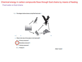 Chemical energy in carbon compounds flows through food chains by means of feeding
Food webs vs food chains
 