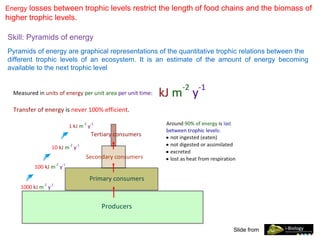 Energy losses between trophic levels restrict the length of food chains and the biomass of
higher trophic levels.
Skill: Pyramids of energy
Pyramids of energy are graphical representations of the quantitative trophic relations between the
different trophic levels of an ecosystem. It is an estimate of the amount of energy becoming
available to the next trophic level
Slide from
 