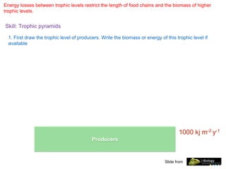 Energy losses between trophic levels restrict the length of food chains and the biomass of higher
trophic levels.
Skill: Trophic pyramids
Slide from
1. First draw the trophic level of producers. Write the biomass or energy of this trophic level if
available
Producers
1000 kj m-2 y-1
 