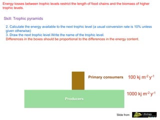 Energy losses between trophic levels restrict the length of food chains and the biomass of higher
trophic levels.
Skill: Trophic pyramids
Slide from
2. Calculate the energy available to the next trophic level (a usual conversion rate is 10% unless
given otherwise)
3. Draw the next trophic level.Write the name of the trophic level.
Differences in the boxes should be proportional to the differences in the energy content.
Producers
1000 kj m-2 y-1
Primary consumers 100 kj m-2 y-1
 