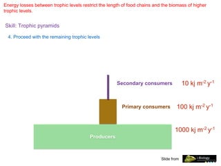 Energy losses between trophic levels restrict the length of food chains and the biomass of higher
trophic levels.
Skill: Trophic pyramids
Slide from
4. Proceed with the remaining trophic levels
Producers
1000 kj m-2 y-1
Primary consumers 100 kj m-2 y-1
Secondary consumers 10 kj m-2 y-1
 