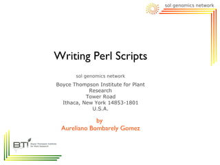 Writing Perl Scripts

Boyce Thompson Institute for Plant
            Research
           Tower Road
  Ithaca, New York 14853-1801
             U.S.A.

             by
 Aureliano Bombarely Gomez
 