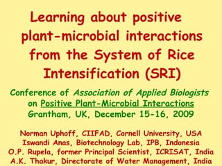 Learning about positive  plant-microbial interactions from the System of Rice Intensification (SRI) Conference of  Association of Applied Biologists   on  Positive Plant-Microbial Interactions Grantham, UK, December 15-16, 2009 Norman Uphoff, CIIFAD, Cornell University, USA Iswandi Anas, Biotechnology Lab, IPB, Indonesia O.P. Rupela, former Principal Scientist, ICRISAT, India A.K. Thakur, Directorate of Water Management, India T.M. Thiyagarajan, Tamil Nadu Agric. Univ., India 