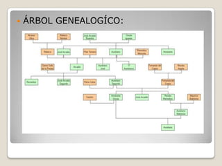    ÁRBOL GENEALOGÍCO:
 