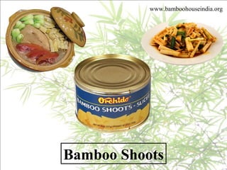 www.bamboohouseindia.org
Bamboo Shoots
 