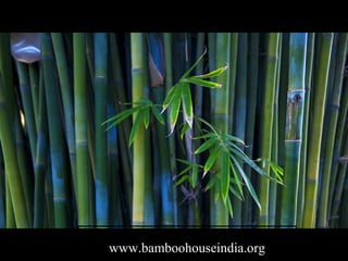 www.bamboohouseindia.org
 