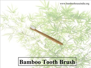 Bamboo Tooth Brush
www.bamboohouseindia.org
 