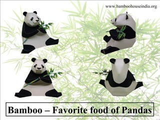 Bamboo – Favorite food of Pandas
www.bamboohouseindia.org
 