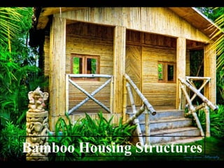 Bamboo Housing Structures
 