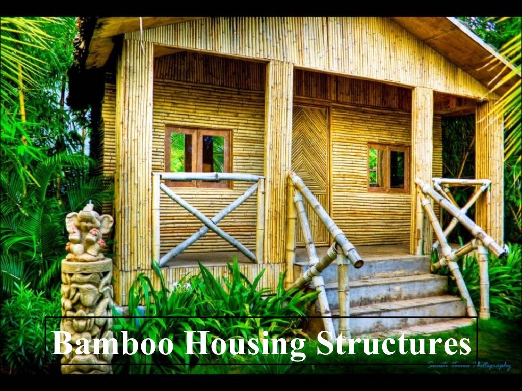 100 bamboo applications
