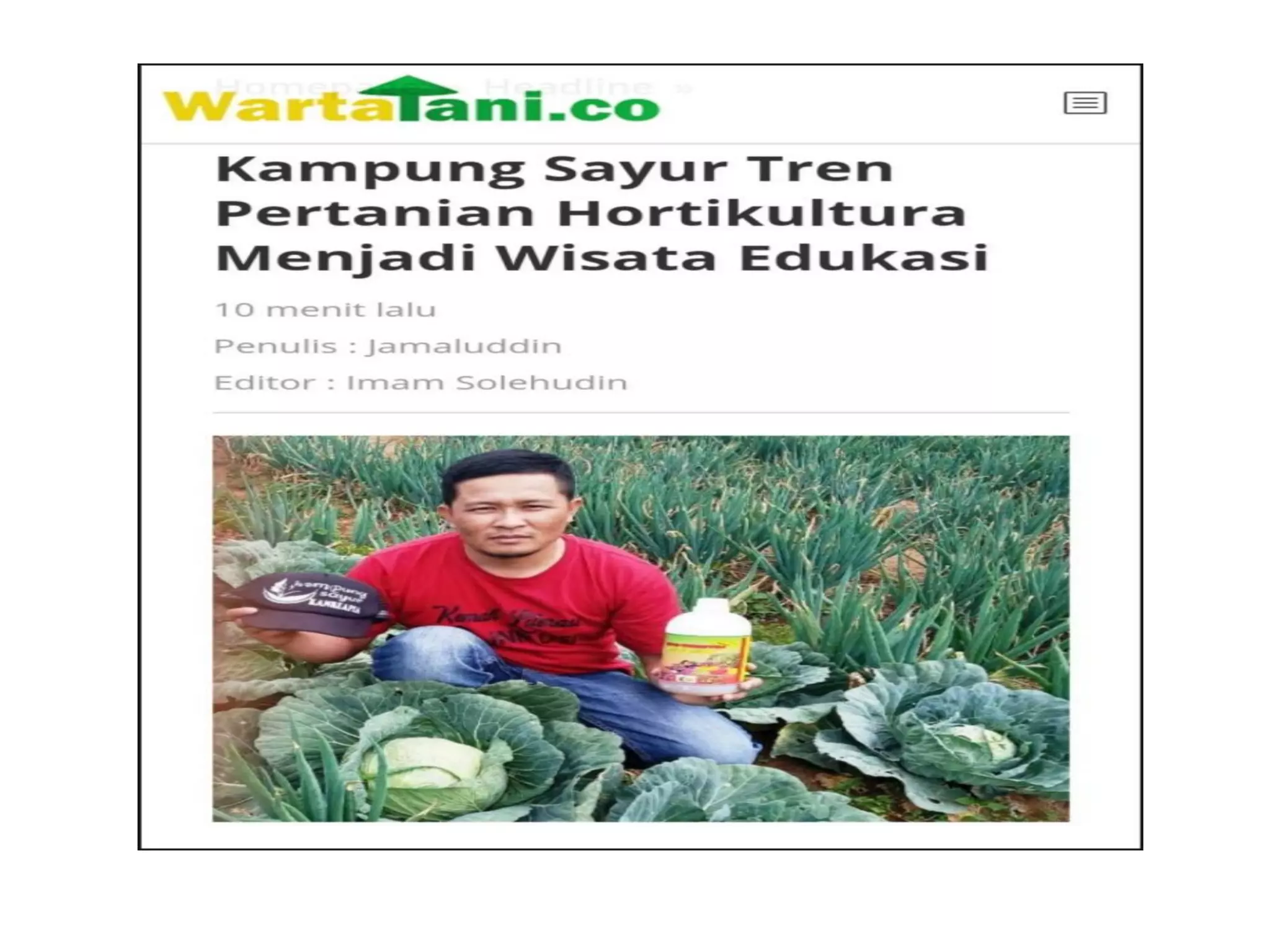 100 Berita Rumah Koran