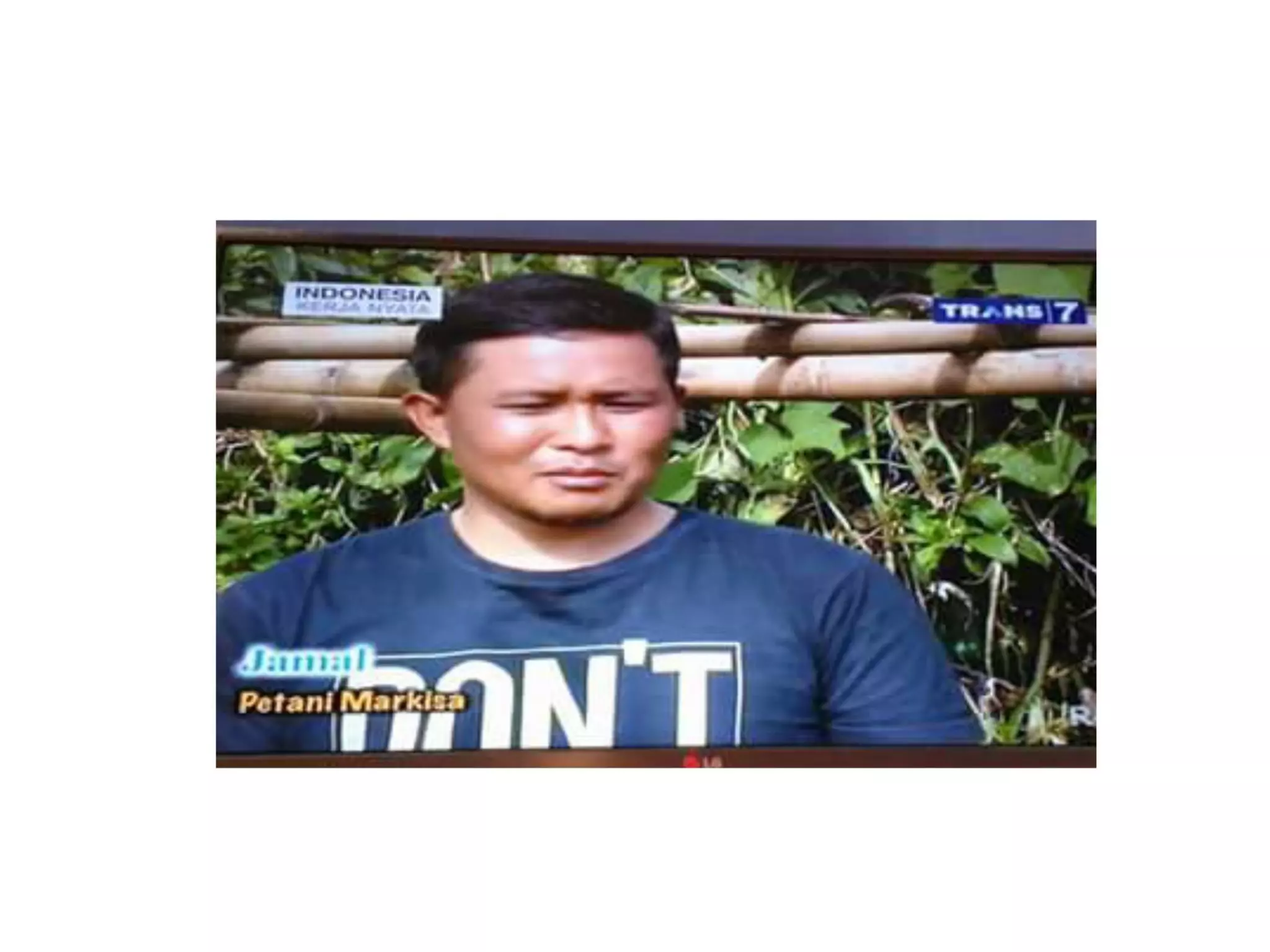 100 Berita Rumah Koran