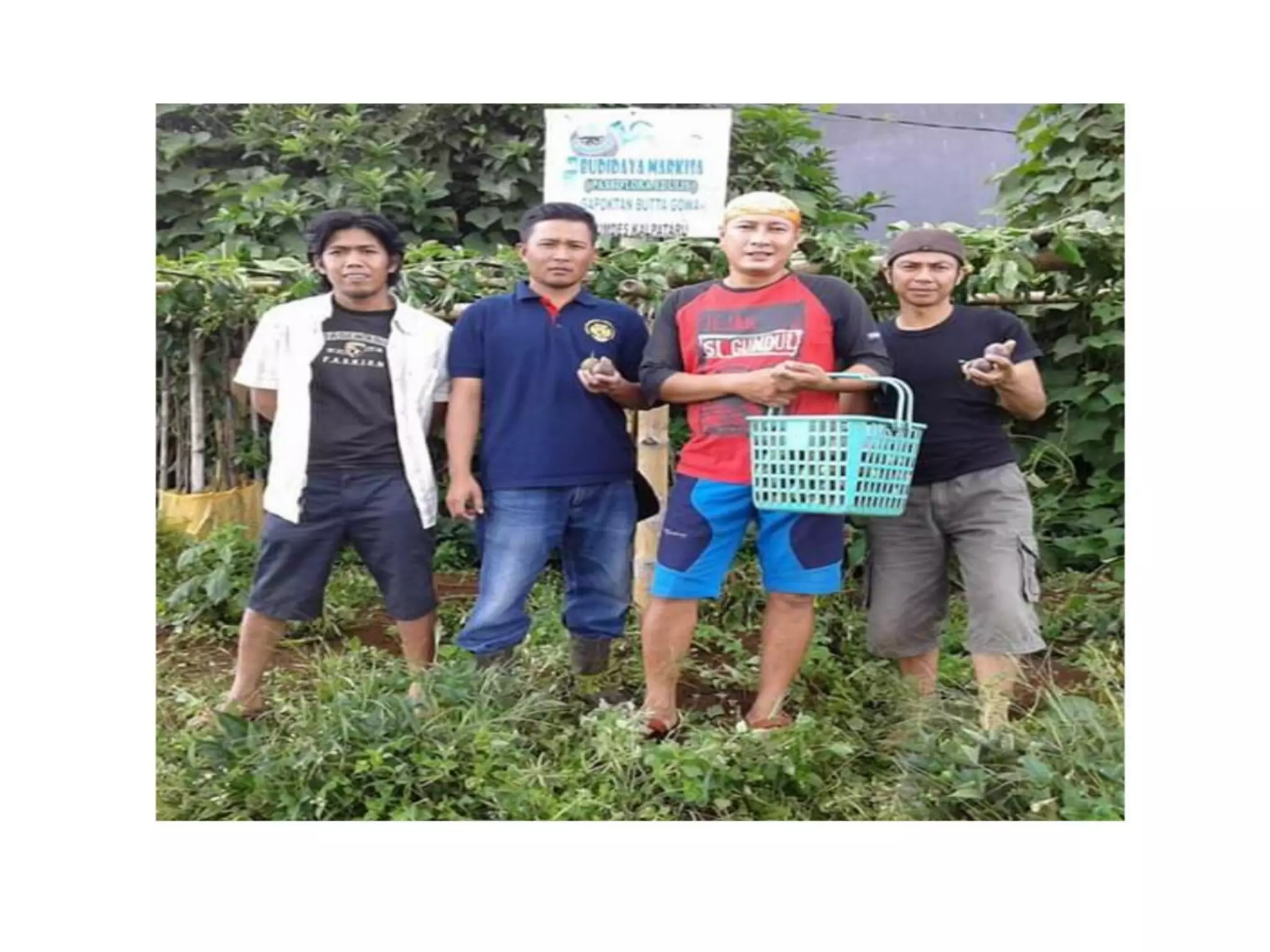 100 Berita Rumah Koran