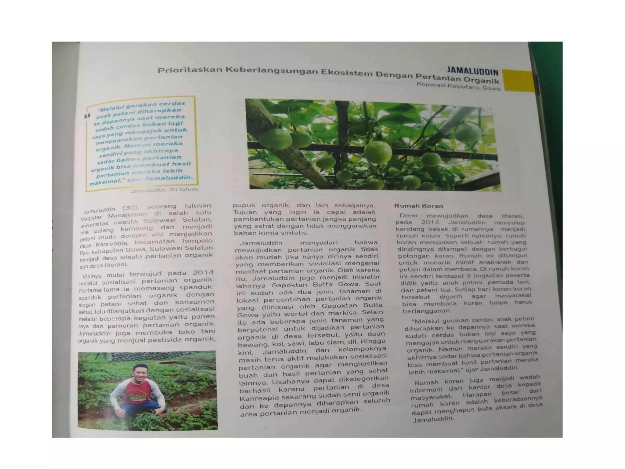 100 Berita Rumah Koran