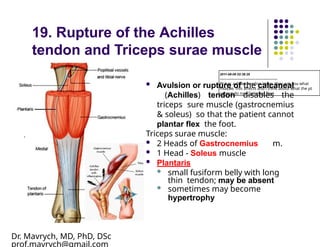 100 Concepts for Anatomy Shelf Exam or USMLE Step Exams.pptx