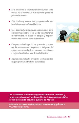 100 consejos para el cuidado del medio ambiente | PDF
