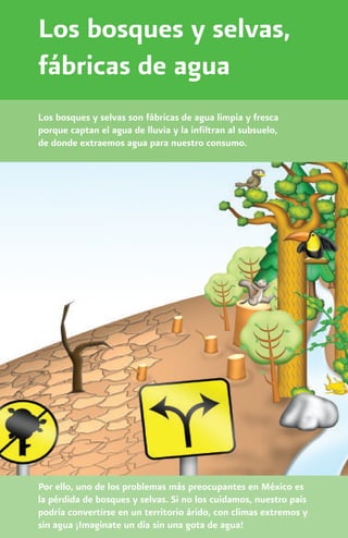 Los bosques y selvas,
fábricas de agua
Los bosques y selvas son fábricas de agua limpia y fresca
porque captan el agua de lluvia y la infiltran al subsuelo,
de donde extraemos agua para nuestro consumo.




Por ello, uno de los problemas más preocupantes en México es
la pérdida de bosques y selvas. Si no los cuidamos, nuestro país
podría convertirse en un territorio árido, con climas extremos y
sin agua ¡Imaginate un día sin una gota de agua!
 