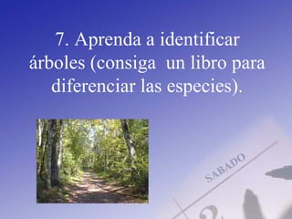 7. Aprenda a identificar
árboles (consiga un libro para
diferenciar las especies).
 