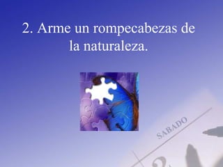 2. Arme un rompecabezas de
la naturaleza.
 