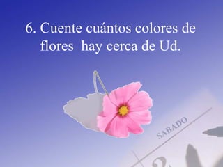 6. Cuente cuántos colores de
flores hay cerca de Ud.
 