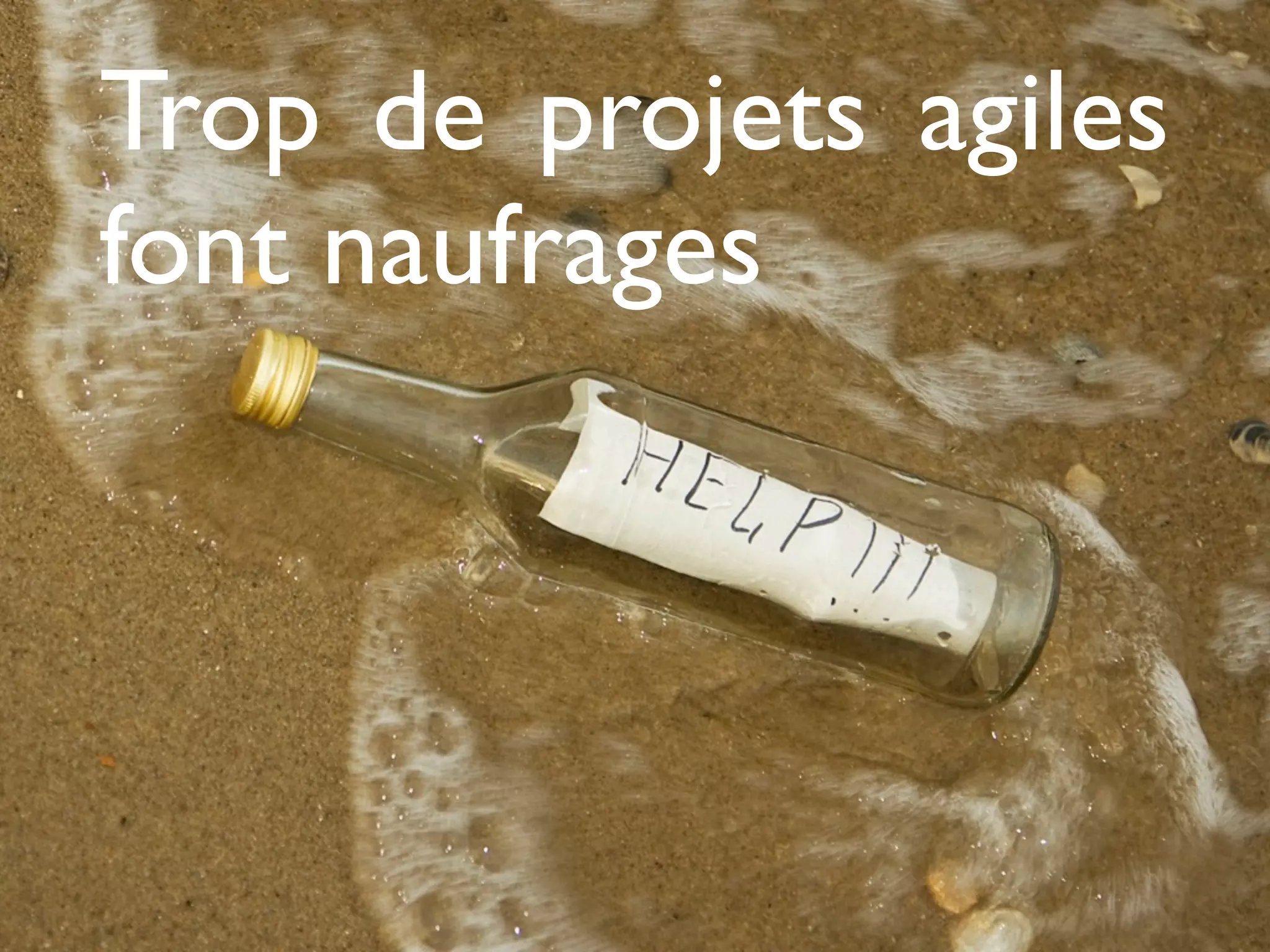 Trop de projets agiles
font naufrages
 