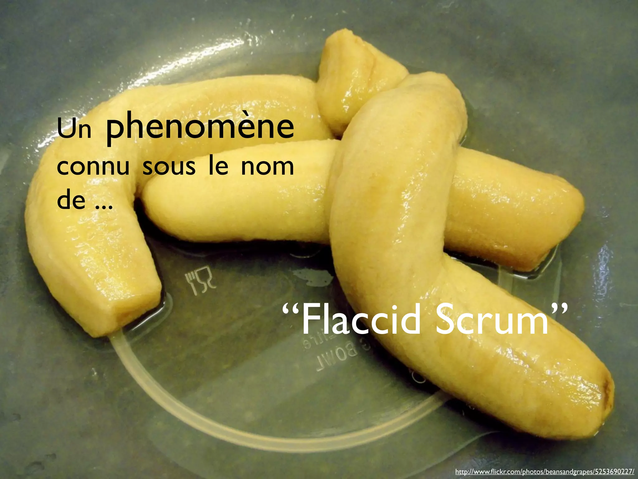 Un phenomène
connu sous le nom
de ...



                “Flaccid Scrum”


                         http://www.ﬂickr.com/photos/beansandgrapes/5253690227/
 