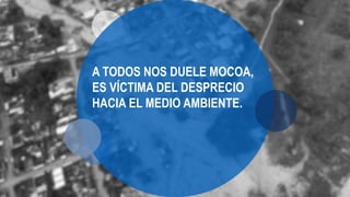 A TODOS NOS DUELE MOCOA,
ES VÍCTIMA DEL DESPRECIO
HACIA EL MEDIO AMBIENTE.
 