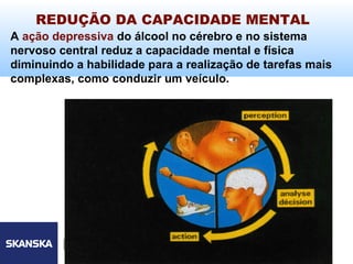 REDUÇÃO DA CAPACIDADE MENTAL                            96


A ação depressiva do álcool no cérebro e no sistema
nervoso central reduz a capacidade mental e física
diminuindo a habilidade para a realização de tarefas mais
complexas, como conduzir um veículo.




          Skanska Brasil Ltda   8
 