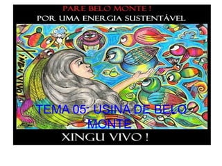 TEMA 05: USINA DE BELO
       MONTE
 