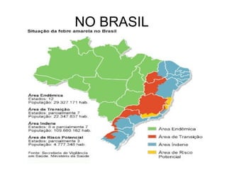 NO BRASIL
 