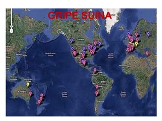 GRIPE SUINA
 