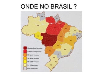 ONDE NO BRASIL ?
 