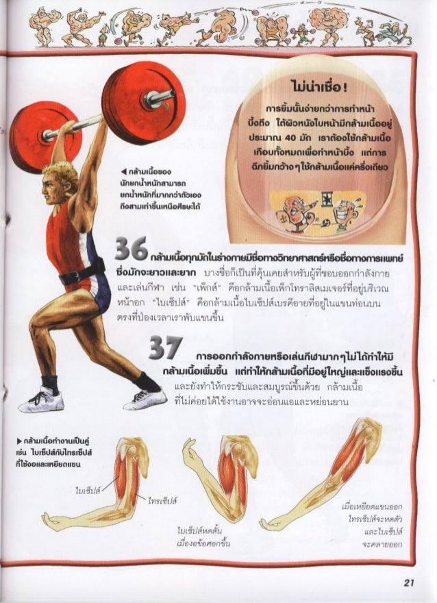 100 เร องน าร เก ยวก บ ร างกายของเรา