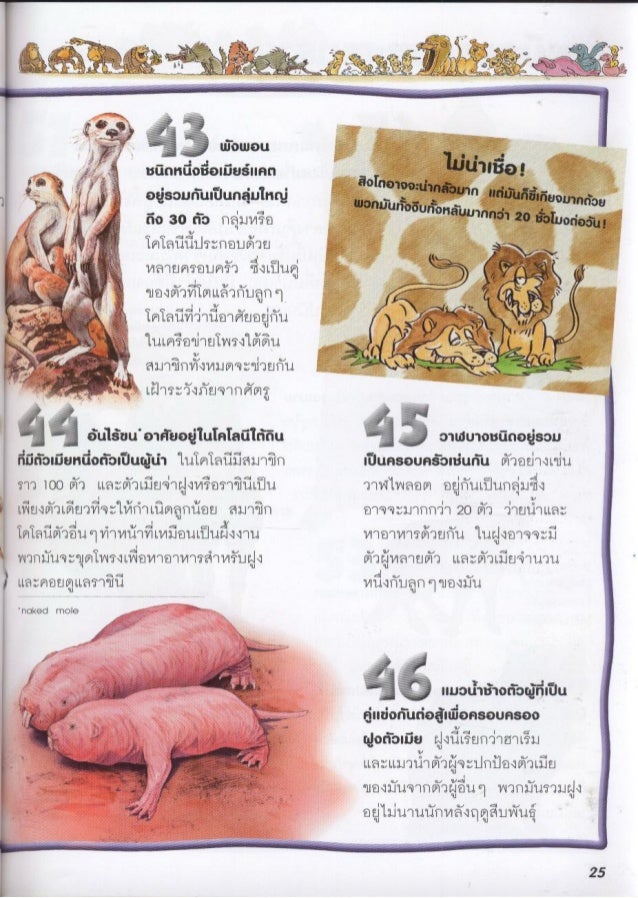 100 เร องน าร เก ยวก บ ส ตว เล ยงล กด วยนม