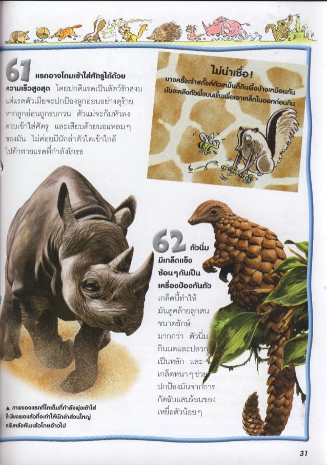 100 เร องน าร เก ยวก บ ส ตว เล ยงล กด วยนม