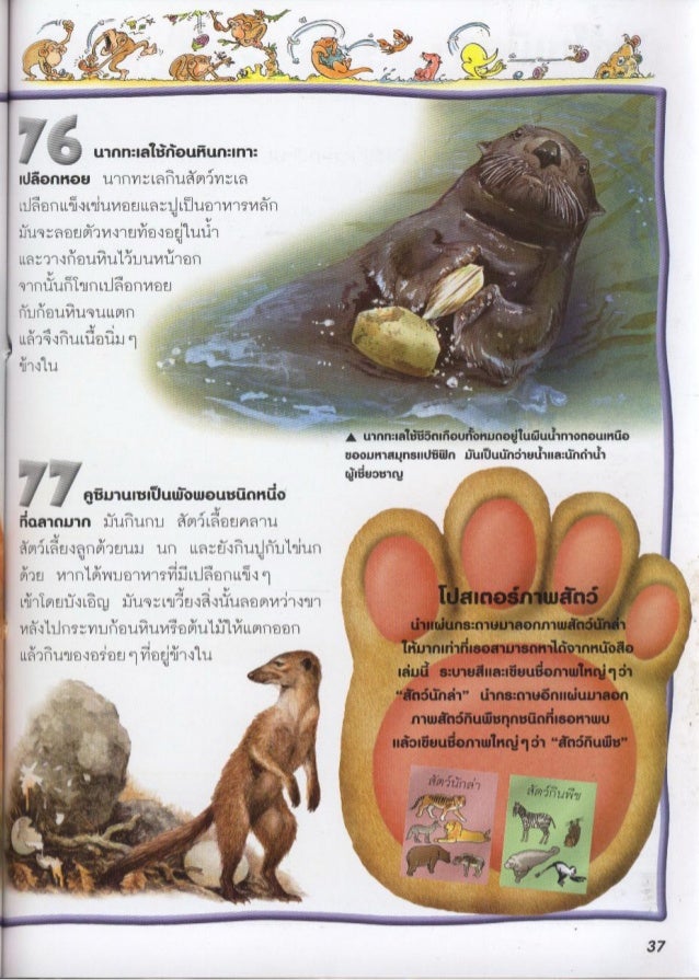 100 เร องน าร เก ยวก บ ส ตว เล ยงล กด วยนม