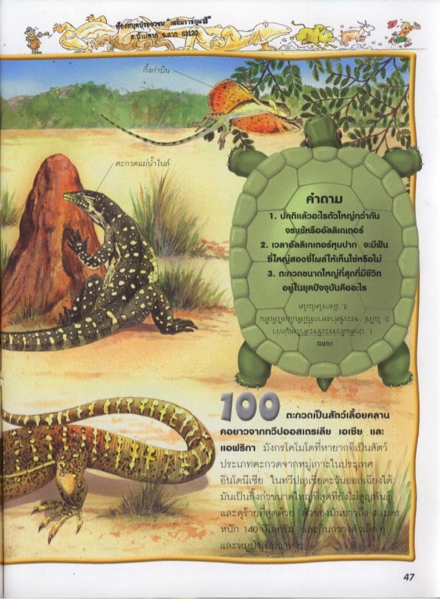 100 เร องน าร เก ยวก บ ส ตว เล อยคลานและส ตว สะเท นน ำสะเท นบก 100 เร องน าร เก ยวก บ ส ตว เล อยคลานและส ตว สะเท นน ำสะเท นบก