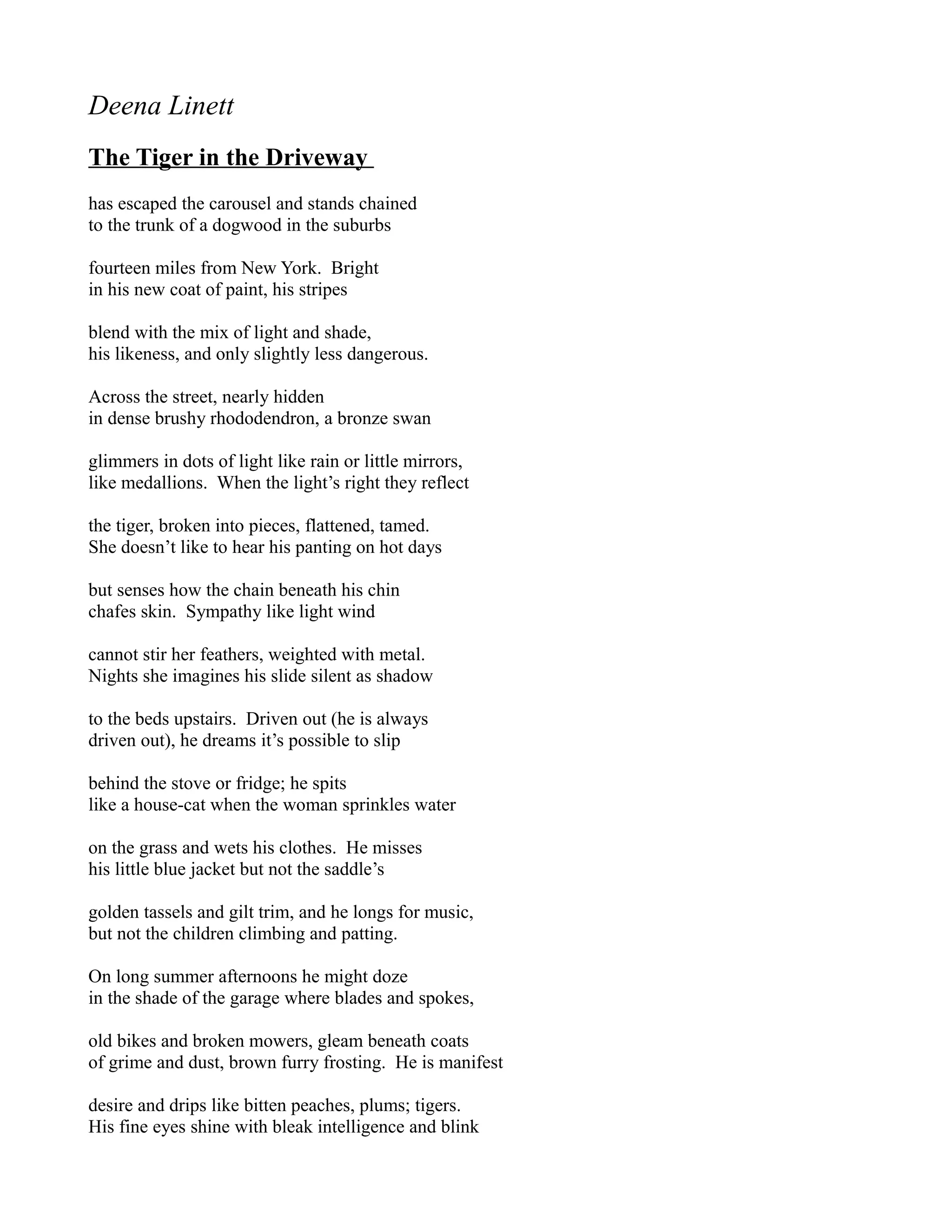 Deena Linett
The Tiger in the Driveway
has escaped the carousel and stands chained
to the trunk of a dogwood in the suburbs

fourteen miles from New York. Bright
in his new coat of paint, his stripes

blend with the mix of light and shade,
his likeness, and only slightly less dangerous.

Across the street, nearly hidden
in dense brushy rhododendron, a bronze swan

glimmers in dots of light like rain or little mirrors,
like medallions. When the light’s right they reflect

the tiger, broken into pieces, flattened, tamed.
She doesn’t like to hear his panting on hot days

but senses how the chain beneath his chin
chafes skin. Sympathy like light wind

cannot stir her feathers, weighted with metal.
Nights she imagines his slide silent as shadow

to the beds upstairs. Driven out (he is always
driven out), he dreams it’s possible to slip

behind the stove or fridge; he spits
like a house-cat when the woman sprinkles water

on the grass and wets his clothes. He misses
his little blue jacket but not the saddle’s

golden tassels and gilt trim, and he longs for music,
but not the children climbing and patting.

On long summer afternoons he might doze
in the shade of the garage where blades and spokes,

old bikes and broken mowers, gleam beneath coats
of grime and dust, brown furry frosting. He is manifest

desire and drips like bitten peaches, plums; tigers.
His fine eyes shine with bleak intelligence and blink
 