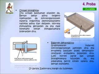 4. Proba Bigarren dekantazioa : Grabitatearen indarrez mikroorganismoak jalkitzen dira eta errasketa batzuen bidez dekantazio-ontziaren erdialdera bidaltzen dira. Lohi horren parte bat urmael biologikoetara itzultzen da, eta soberakoa berriz lohien sailera doa, bertan loditzeko. Ur garbia Zadorrara joango da zuzenean . Urmael biologikoa : Ura urmael batzuetan pilatzen da. Bertan behar adina oxigeno injektatzen da mikroorganismoek materia organikoa deskonposatzeko nahikoa adina izan dezaten. Horrela flokulazioa gertatzen da eta fase honetako lohiak flotagailuetara bideratzen dira. 