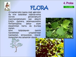 4. Proba Ur-bazterreko basoa ongi agertzen da nire ibilbidean habitat-mota horren gordorlekurik inportanteenetako bat delarik EAEn. Gainera, lehentasunezko kontserbazioa behar duen espaziotzat hartu da Europa mailan. Nire ibilbidearen zatirik handienean urbazterrean haltzadiak, lertxundiak, lizardi-zumardiak eta sahastiak daude .  